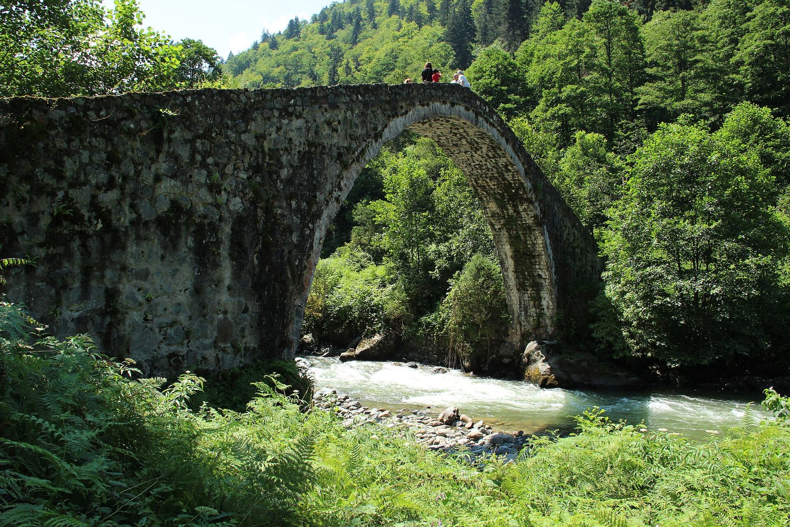 Çamlıhemşin
